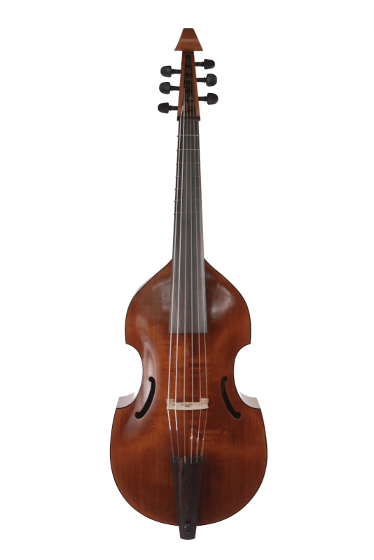 Bassgambe