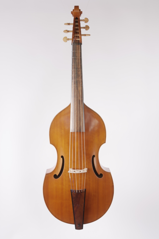 Bassgambe