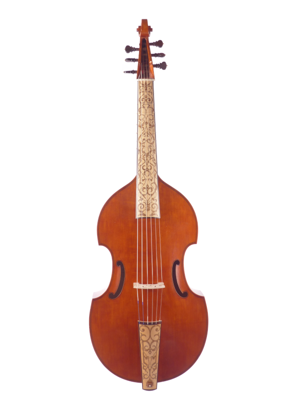 Bassgambe